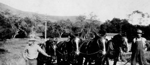 Andy Kirkham and team