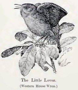 The Little Lover