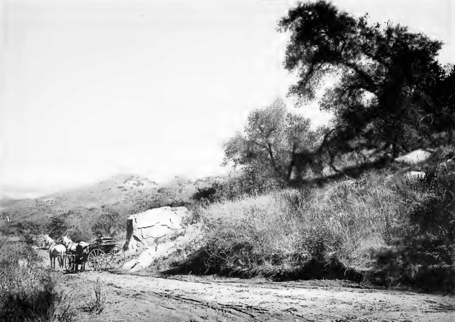 Picturesque San Diego Bear Valley